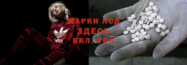 прущие грибы Нягань