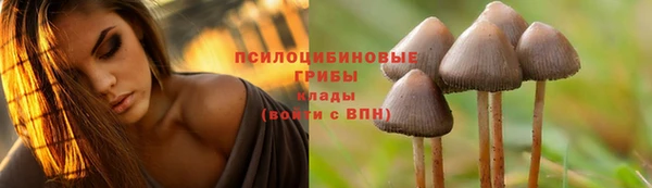 прущие грибы Нягань