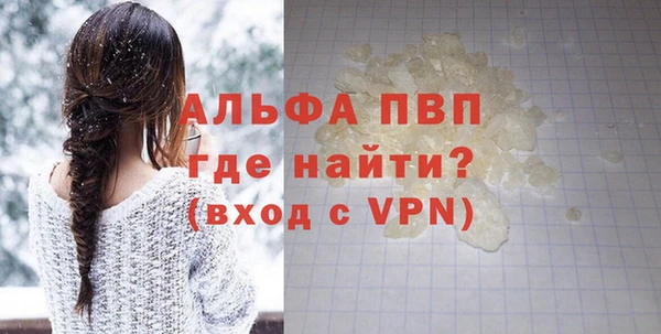 гашик Шадринск