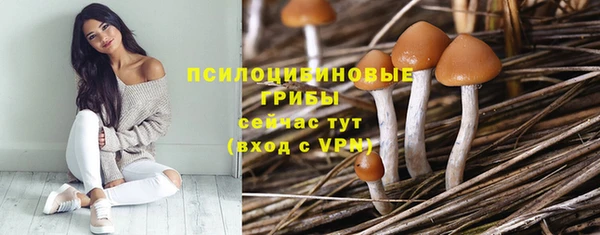 ПСИЛОЦИБИНОВЫЕ ГРИБЫ Трёхгорный