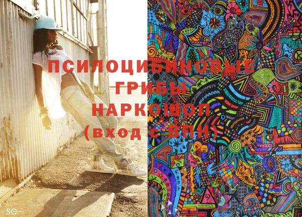 прущие грибы Нягань