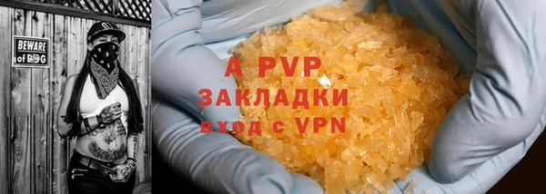 прущие грибы Нягань